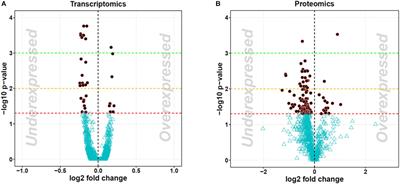 Extracellular Vesicles From Liver Progenitor Cells Downregulates Fibroblast Metabolic Activity and Increase the Expression of Immune-Response Related Molecules